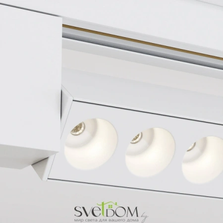 TR010-1-20W3K-M-W Maytoni