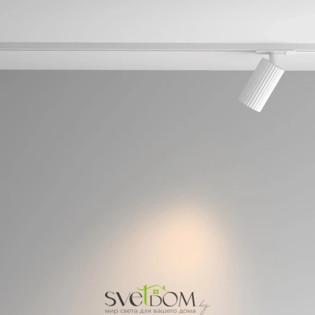 TR218-1-GU10-W Maytoni