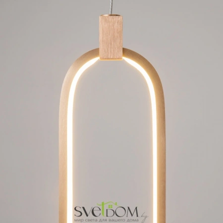 Подвесные светильники Maytoni MOD017PL-L13G от Магазина Svetdom.by