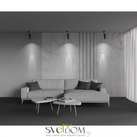 Фото Потолочные светильники Maytoni C020CL-01B Потолочные светильники Maytoni C020CL-01B от Магазина Svetdom.by