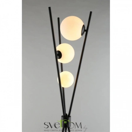 APL.348.05.03 Aployt