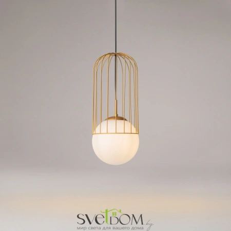 Подвесные светильники Maytoni P363PL-01G от Магазина Svetdom.by