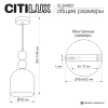 Подвесной светильник Citilux TENDY CL244021 CITILUX