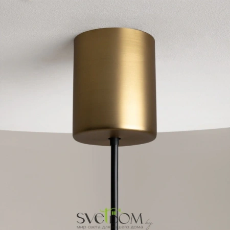 Подвесные светильники Maytoni Z020PL-L6BS3K от Магазина Svetdom.by