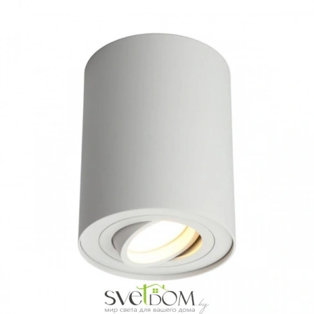Накладные светильники Omnilux OML-101009-01 от Магазина Svetdom.by