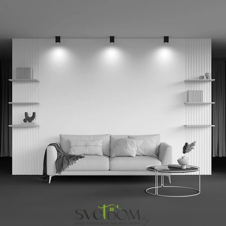 Потолочные светильники Maytoni C017CL-01B от Магазина Svetdom.by