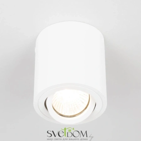 Citilux Дюрен CL538111 Светильник накладной поворотный Белый CITILUX