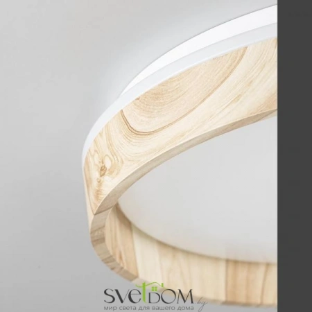 Потолочные светильники CITILUX CL753352G от Магазина Svetdom.by