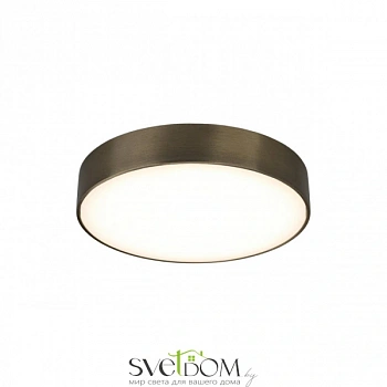 Светильник настенно-потолочный Aployt  APL.0114.29.24