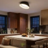Потолочные светильники CITILUX CL736151 от Магазина Svetdom.by