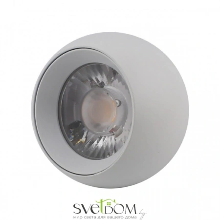 Накладные светильники Aployt APL.0055.19.05 от Магазина Svetdom.by