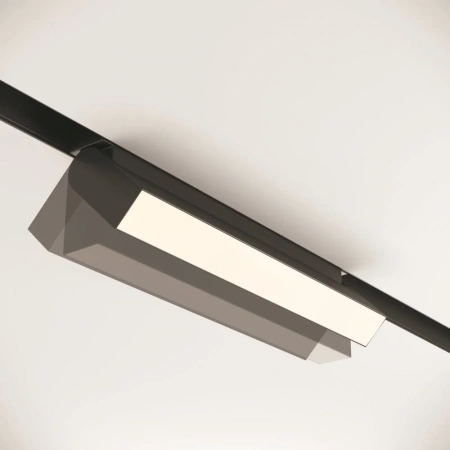 TR013-2-20W4K-B Maytoni