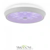 Фото Светильники Freya FR10012CL-L24W Светильники Freya FR10012CL-L24W от Магазина Svetdom.by
