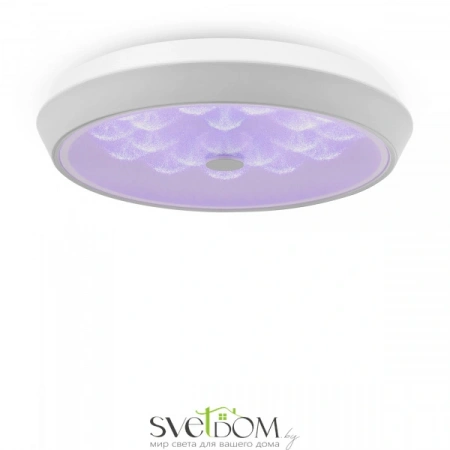 Фото Светильники Freya FR10012CL-L24W Светильники Freya FR10012CL-L24W от Магазина Svetdom.by
