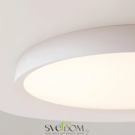 Потолочные светильники Maytoni MOD426CL-L43WK от Магазина Svetdom.by