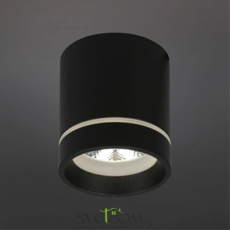 Накладные светильники Aployt APL.0044.19.05 от Магазина Svetdom.by