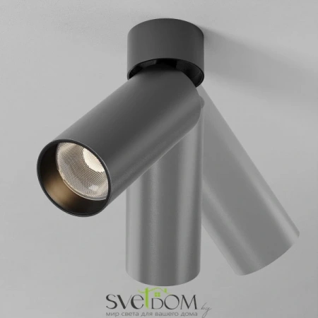 Потолочные светильники Maytoni C055CL-L12W2.7K-SS-B от Магазина Svetdom.by