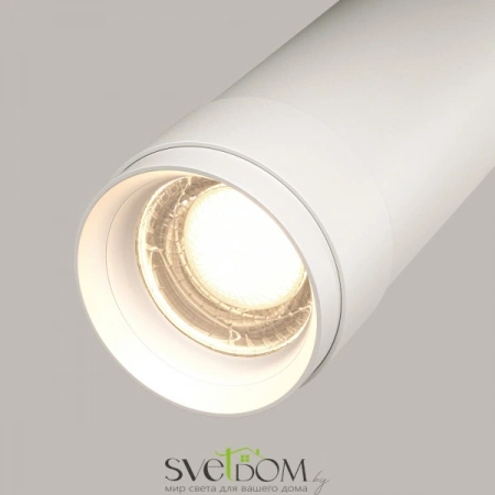 Потолочные светильники Maytoni C055CL-L12W4K-Z-W от Магазина Svetdom.by