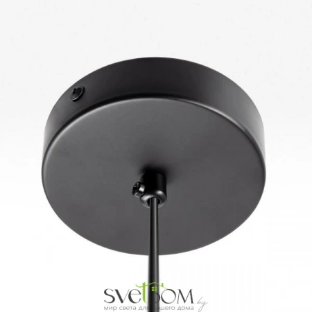 Подвесные светильники CITILUX CL202022 от Магазина Svetdom.by