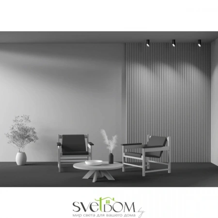 Потолочные светильники Maytoni C044CL-01-15GU10-B от Магазина Svetdom.by