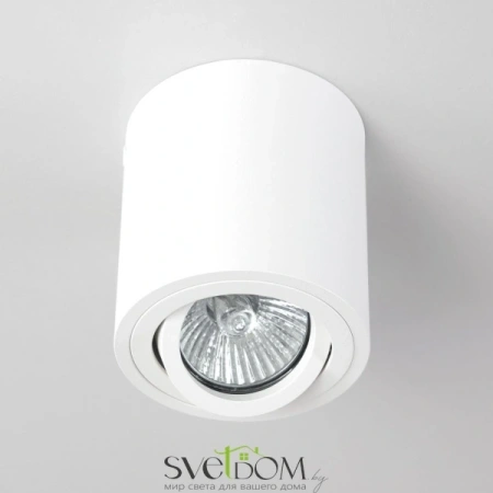 Citilux Дюрен CL538111 Светильник накладной поворотный Белый CITILUX