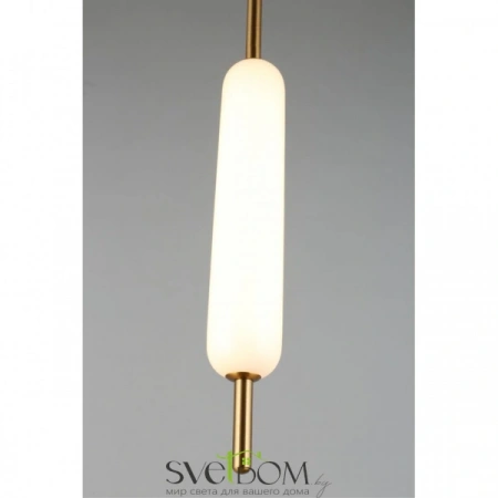 Подвесные светильники Aployt APL.010.06.08 от Магазина Svetdom.by