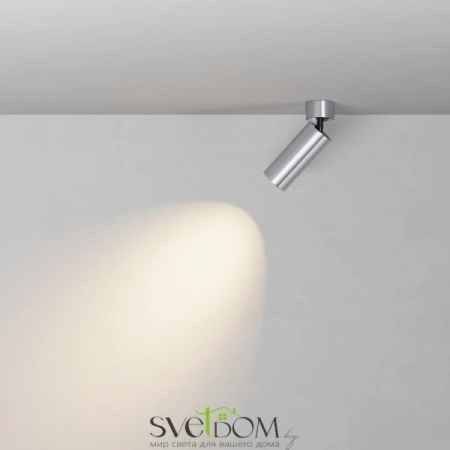 Потолочные светильники Maytoni C055CL-L12W3K-W-PT от Магазина Svetdom.by