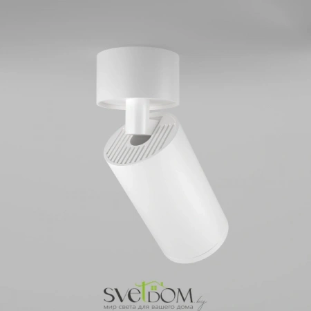 Потолочные светильники Maytoni C050CL-U-1W от Магазина Svetdom.by