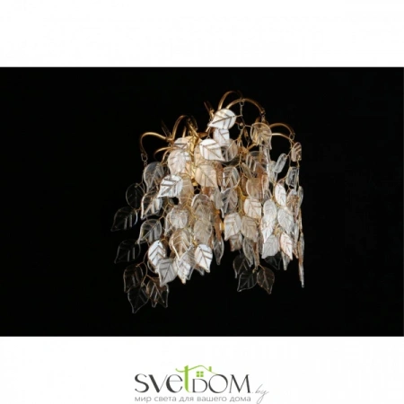 Настенные светильники APL.850.01.03 Aployt | Svetdom.by