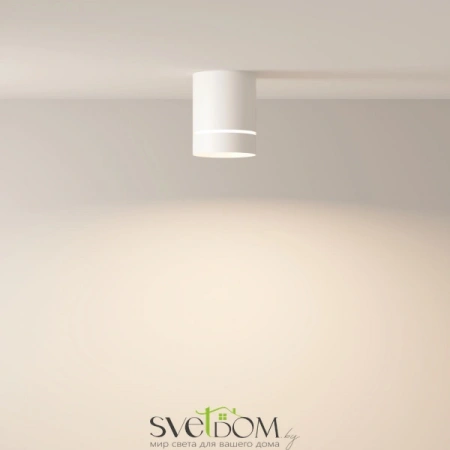 Потолочные светильники Maytoni C085CL-9W4K-W от Магазина Svetdom.by