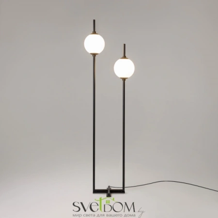 Z020FL-L12BK Maytoni