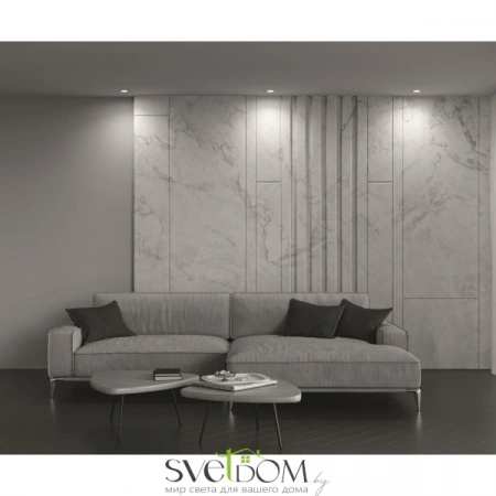 Встраиваемые светильники Maytoni DL025-2-01W от Магазина Svetdom.by