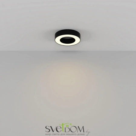 Потолочные светильники Maytoni C093CL-24W3K-B от Магазина Svetdom.by