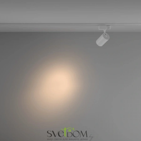 TR029-3-10W3K-S-W Maytoni