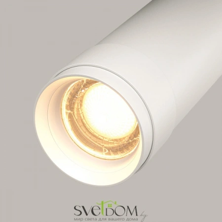 Потолочные светильники Maytoni C055CL-L12W3K-Z-W от Магазина Svetdom.by