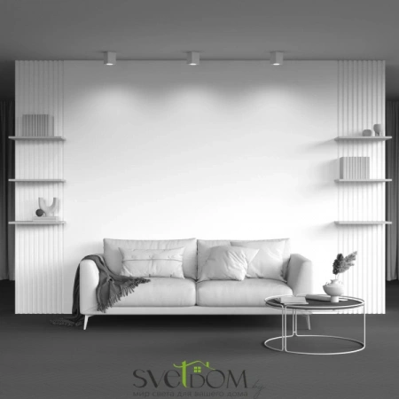 Потолочные светильники Maytoni C013CL-01W от Магазина Svetdom.by