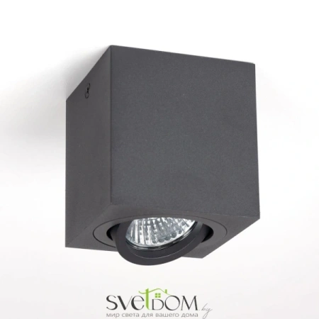 CL538213 CITILUX