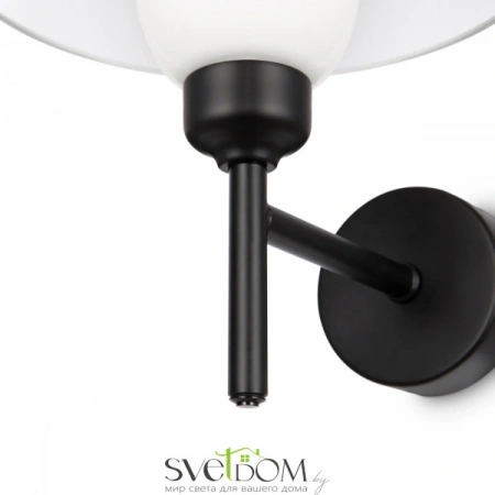 Настенные светильники MOD177WL-01B Maytoni | Svetdom.by