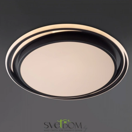 Фото Светильники Freya FR10031CL-L98B Светильники Freya FR10031CL-L98B от Магазина Svetdom.by