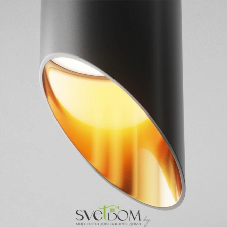 Потолочные светильники Maytoni C044CL-01-25GU10-B от Магазина Svetdom.by