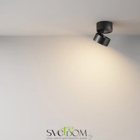 Потолочные светильники Maytoni C024CL-L12B3K от Магазина Svetdom.by