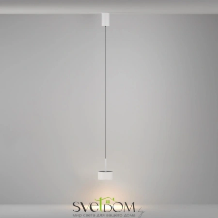 Подвесные светильники Maytoni P102PL-12W3K-W от Магазина Svetdom.by