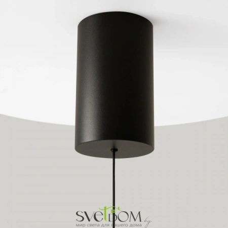 Подвесные светильники Maytoni P076PL-L12W3K-B от Магазина Svetdom.by