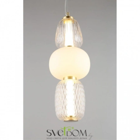 Подвесные светильники Aployt APL.318.06.29 от Магазина Svetdom.by