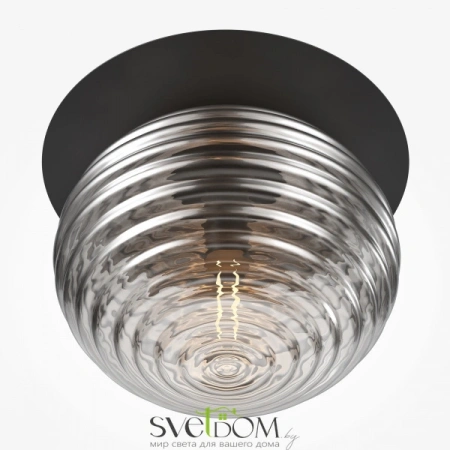 Потолочные светильники Maytoni MOD268CL-01B от Магазина Svetdom.by