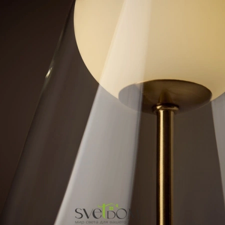 Настенные светильники FR5382WL-01BS Freya | Svetdom.by