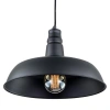 Подвесной светильник Citilux Эдисон CL450204 CITILUX