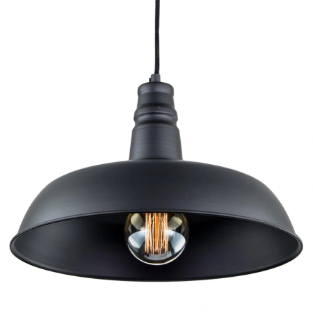 Подвесной светильник Citilux Эдисон CL450204 CITILUX