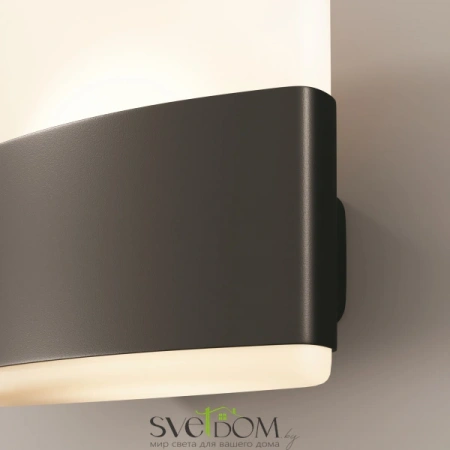 Настенные светильники O442WL-L12GF3K1 Maytoni | Svetdom.by