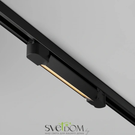 TR196-3-10W2.7K-B Maytoni